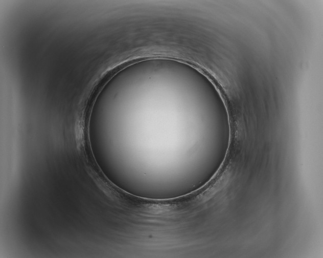 X0000102501499200808081338