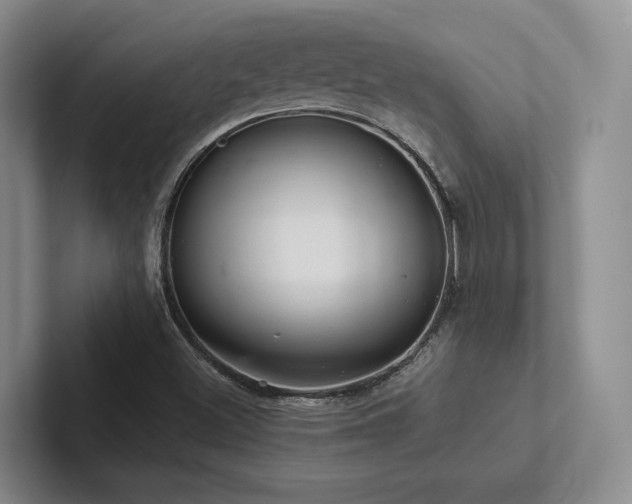 X0000102501500200808081338