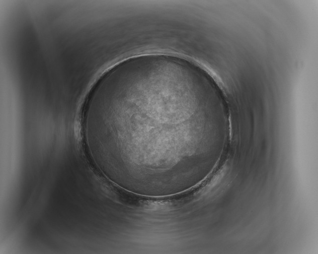 X0000102501501200808081338