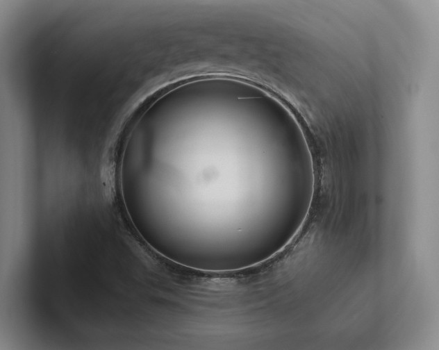 X0000102501503200808081338