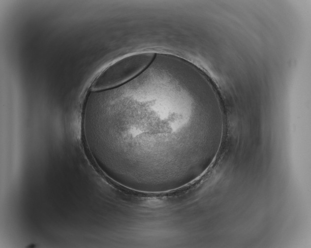 X0000102501504200808081338