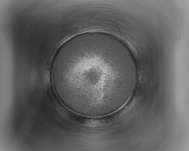 X0000102501505200808081338