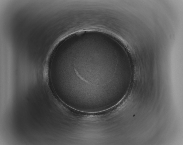 X0000102501506200808081338