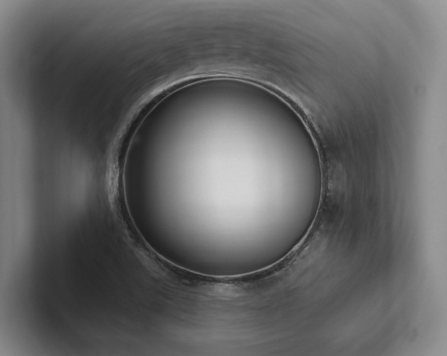 X0000102501507200808081338