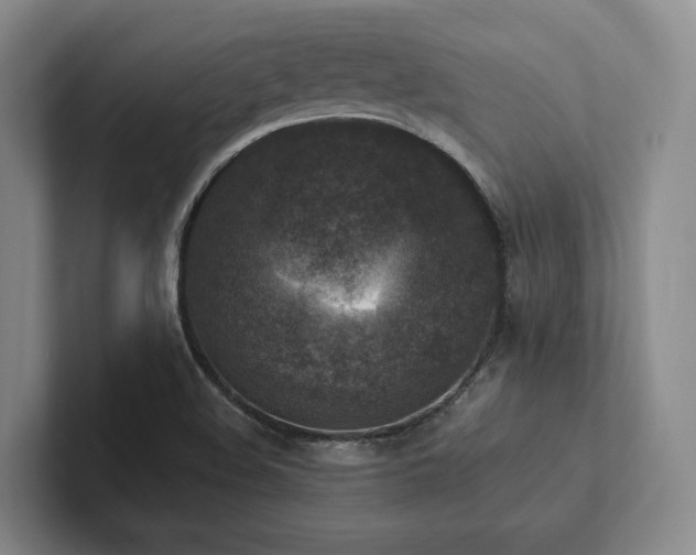 X0000102501508200808081338