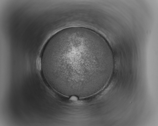 X0000102501509200808081338