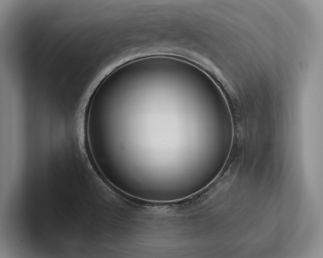 X0000102501512200808081338