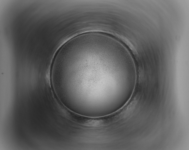 X0000102501513200808081338