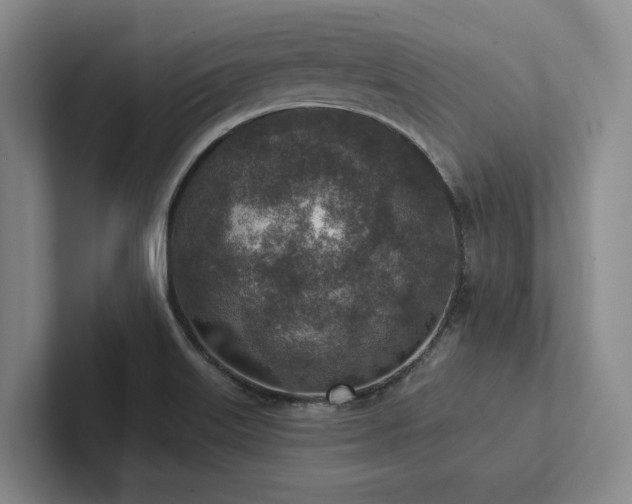 X0000102501515200808081338