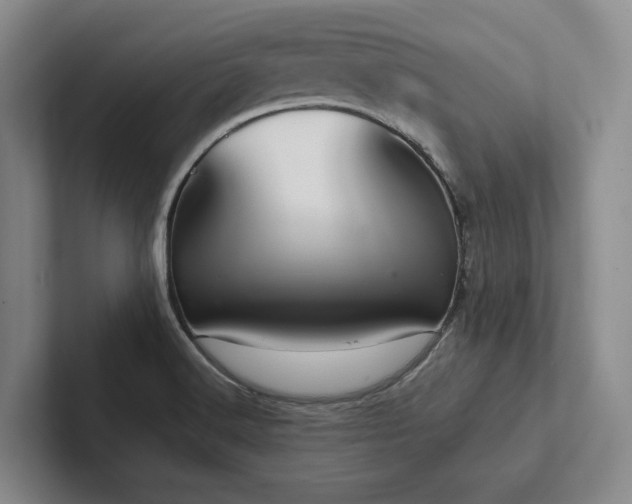 X0000102501516200808081338