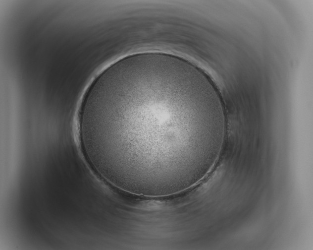 X0000102501517200808081338
