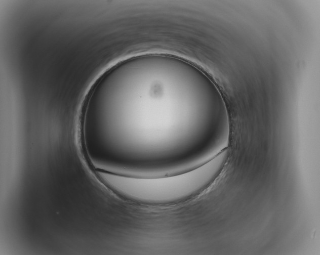 X0000102501518200808081338