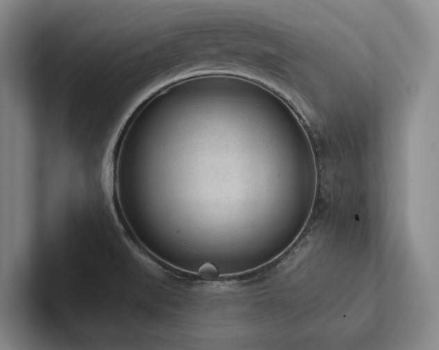 X0000102501519200808081338