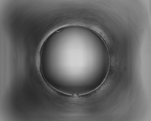 X0000102501520200808081338