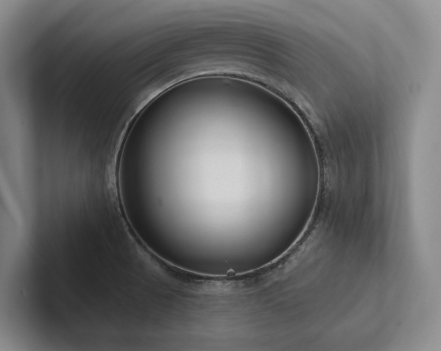 X0000102501521200808081338