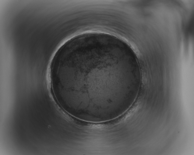 X0000102501522200808081339