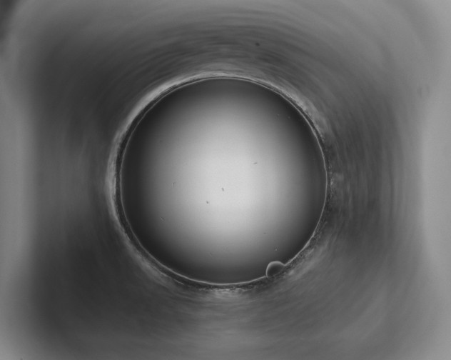 X0000102501523200808081339