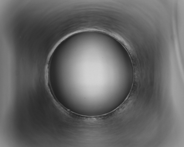 X0000102501524200808081339