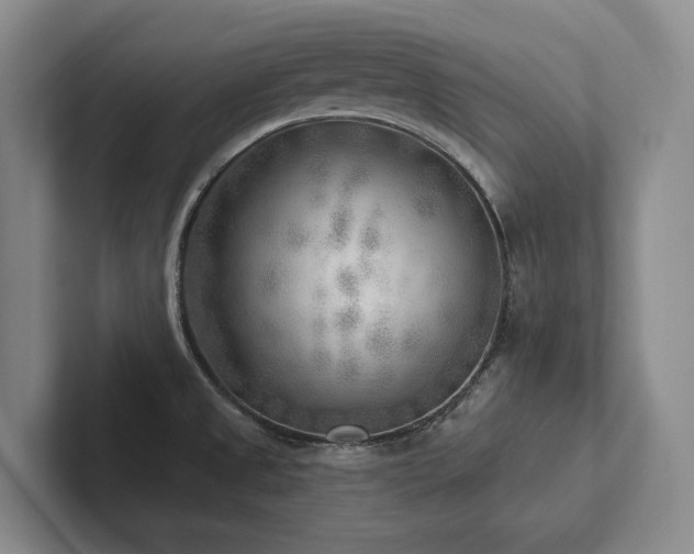 X0000102501525200808081339