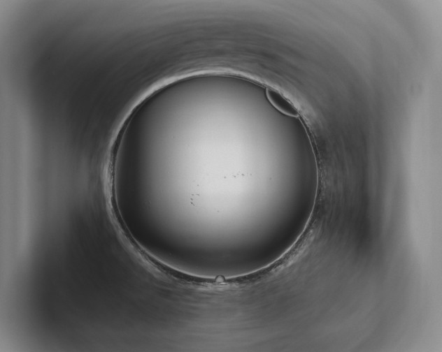 X0000102501526200808081339