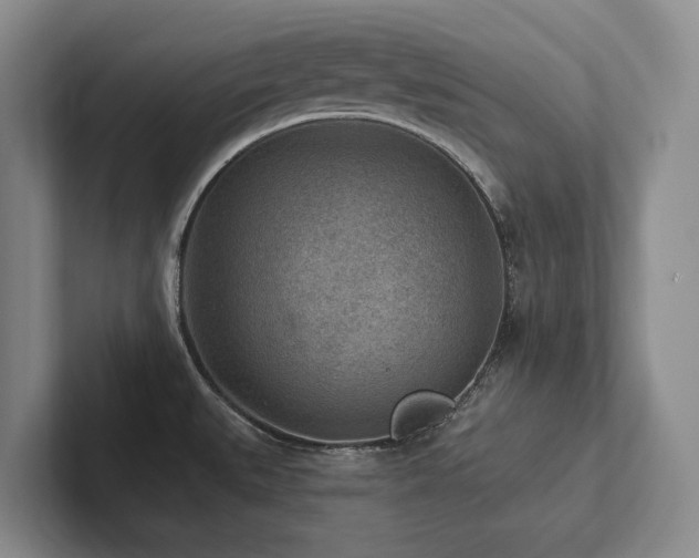 X0000102501527200808081339