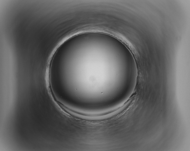 X0000102501528200808081339
