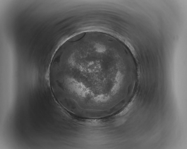 X0000102501529200808081339