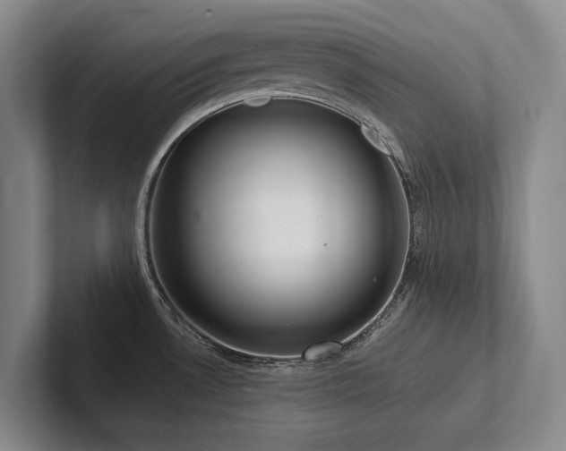 X0000102501530200808081339