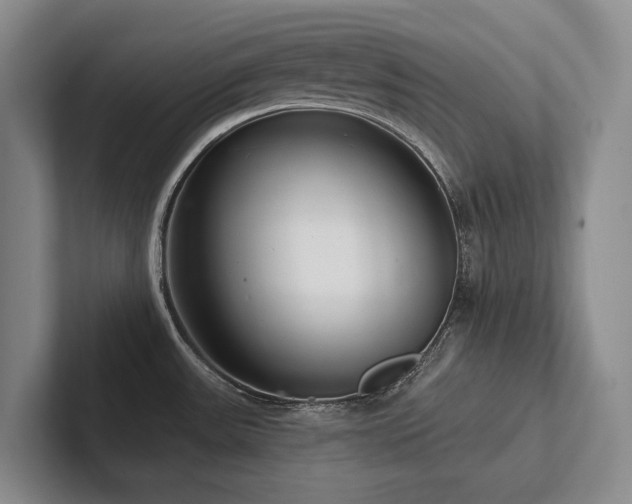 X0000102501531200808081339