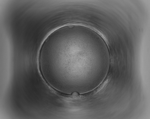 X0000102501533200808081339