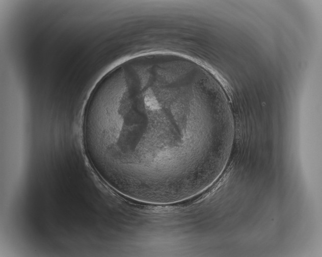 X0000102501534200808081339