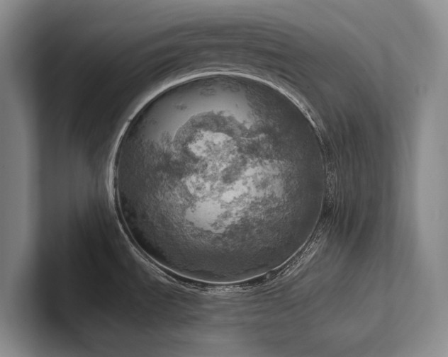 X0000102501535200808081339