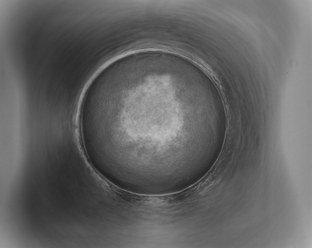 X0000102501536200808081339