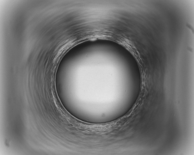 X0000102500001200808151533