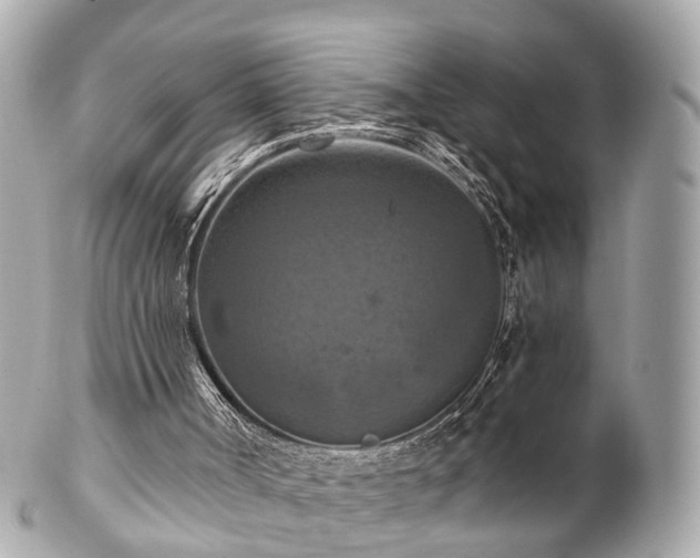 X0000102500002200808151533