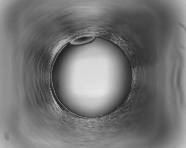 X0000102500003200808151533