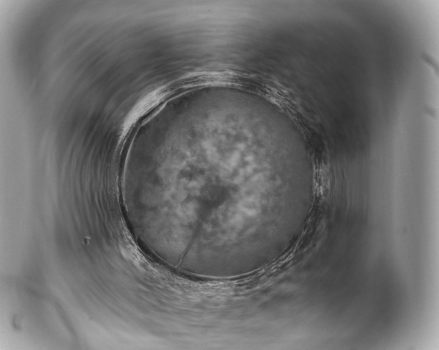 X0000102500004200808151533