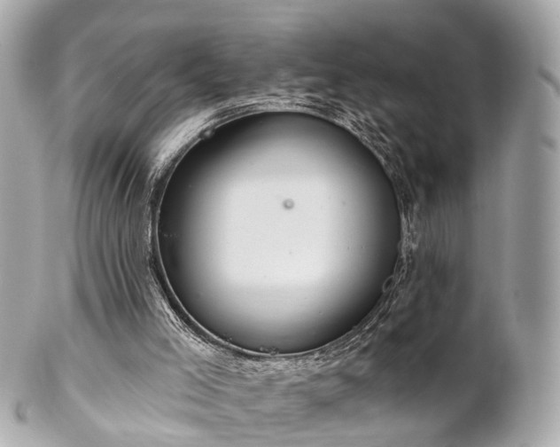 X0000102500005200808151533