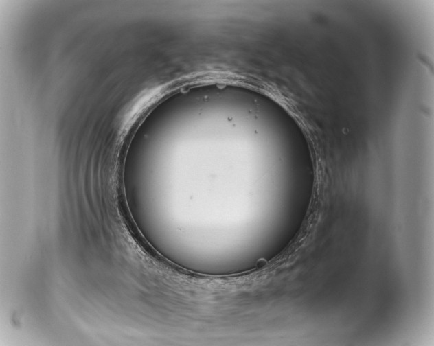 X0000102500007200808151533