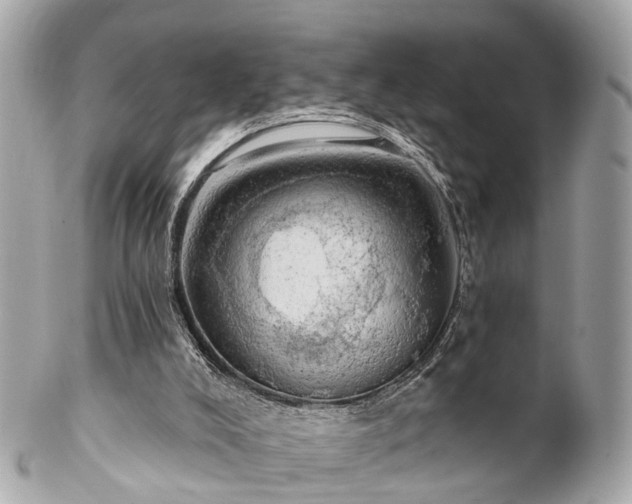 X0000102500008200808151533