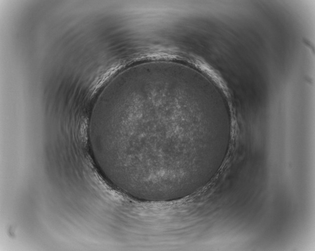 X0000102500009200808151533