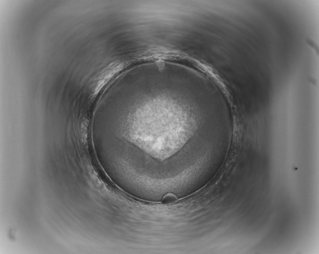 X0000102500010200808151533