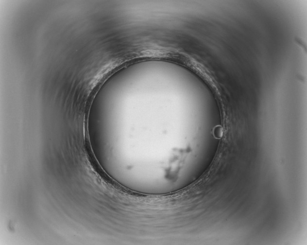 X0000102500011200808151532