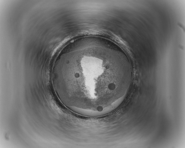 X0000102500012200808151532