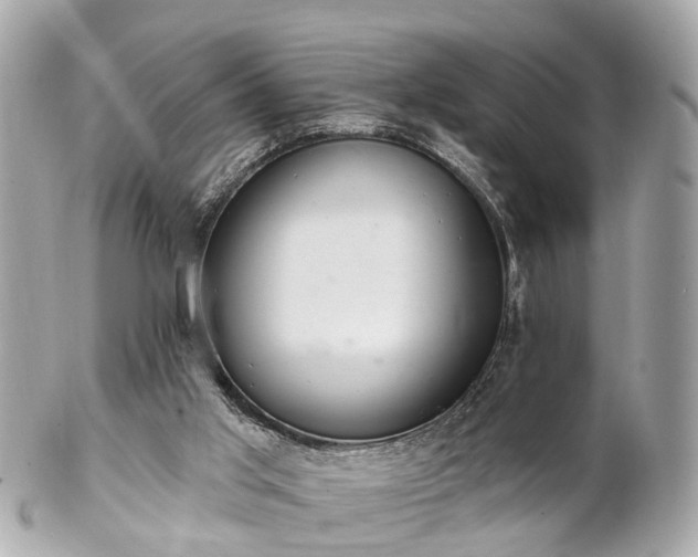 X0000102500013200808151532