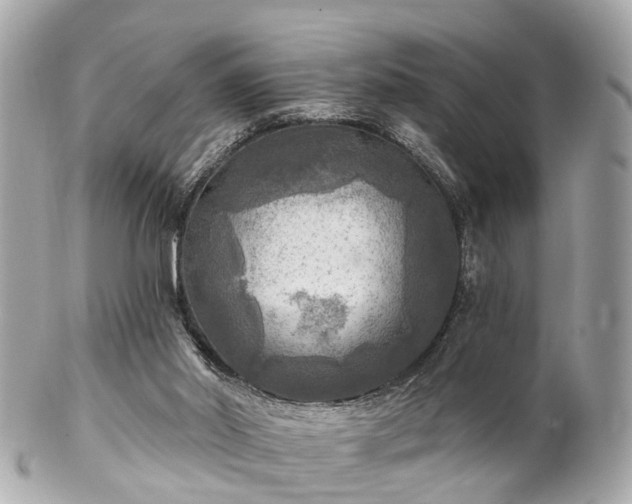 X0000102500014200808151532