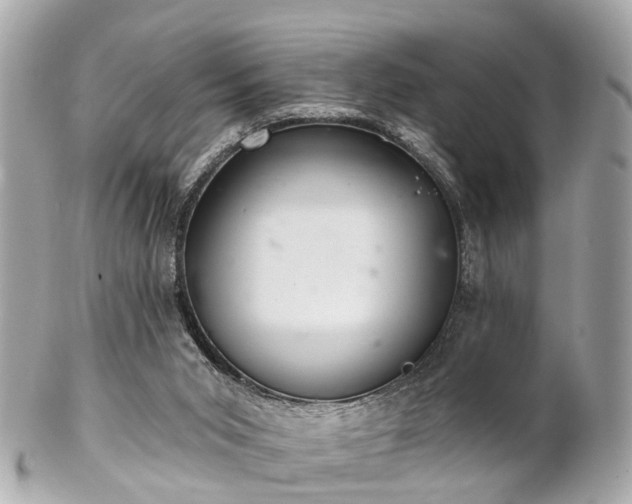 X0000102500015200808151532