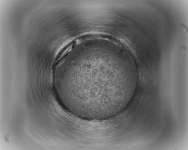 X0000102500016200808151532