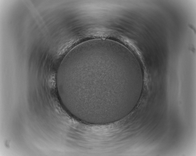 X0000102500017200808151532