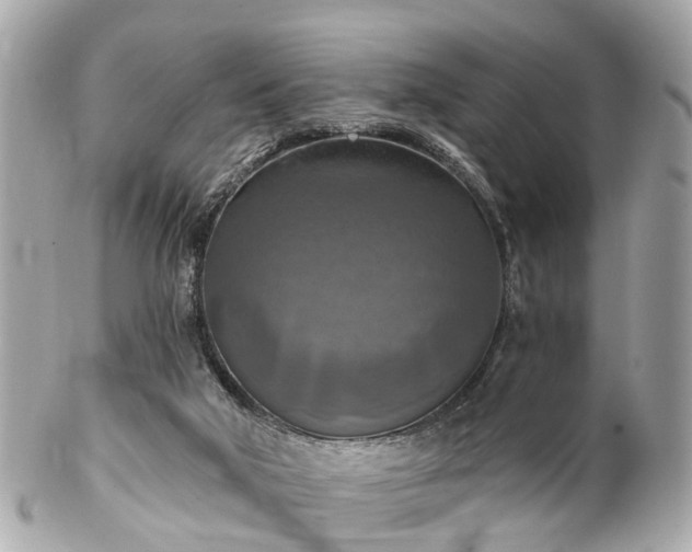 X0000102500018200808151532